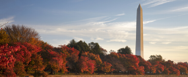 A scenic view of Washington D.C.